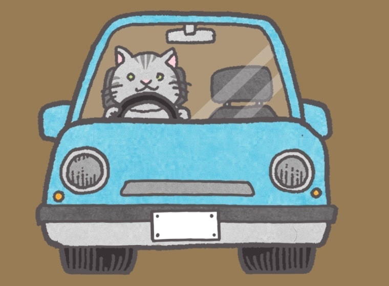 車に乗る猫のイラスト