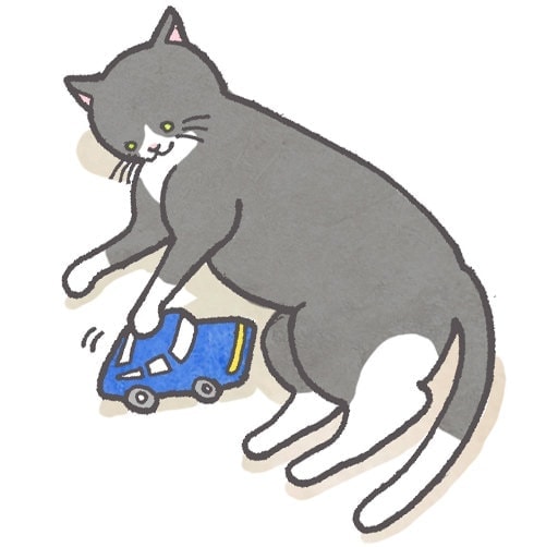 猫イラスト